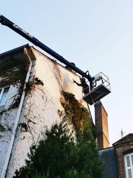 Enlèvement d’une vigne vierge en ville par la SARL Deshayes Élagage