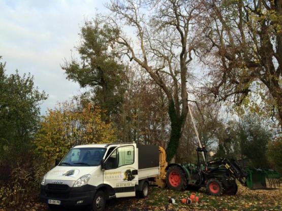Elagage Evreux Elagage Evreux